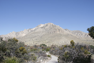 Guadalupe Mountains NP